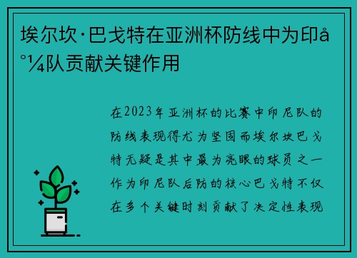 埃尔坎·巴戈特在亚洲杯防线中为印尼队贡献关键作用